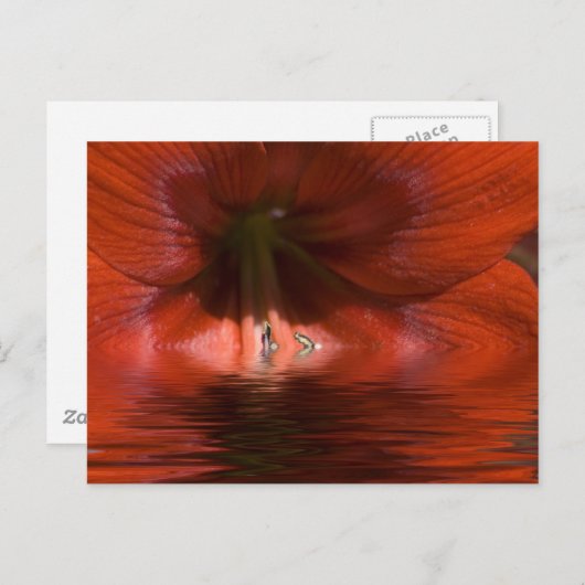 Red Liquid Postkarte (Vorne/Hinten)