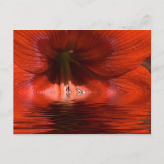 Red Liquid Postkarte