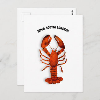Red Lobster Postcard Postkarte