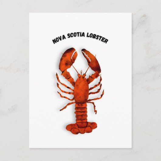 Red Lobster Postcard Postkarte (Vorderseite)