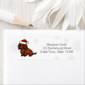 Red Long Hair Dackel Christmas Niedlich (Insitu)