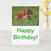 Red Long Hair Dackel Karte (Gelbe Blume)