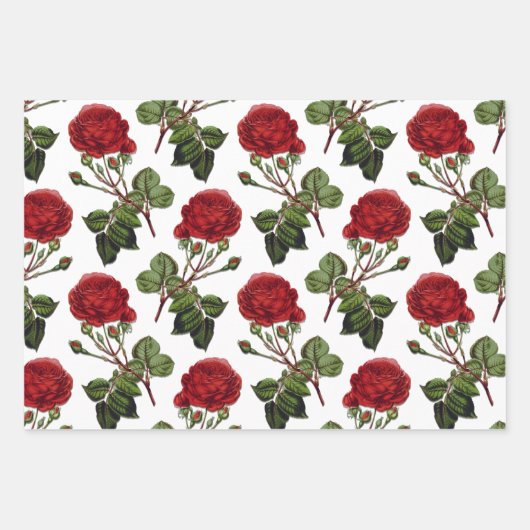 Red Long Steam Rose Muster Geschenkpapier Set (Vorderseite 3)