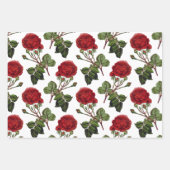 Red Long Steam Rose Muster Geschenkpapier Set (Vorderseite 2)
