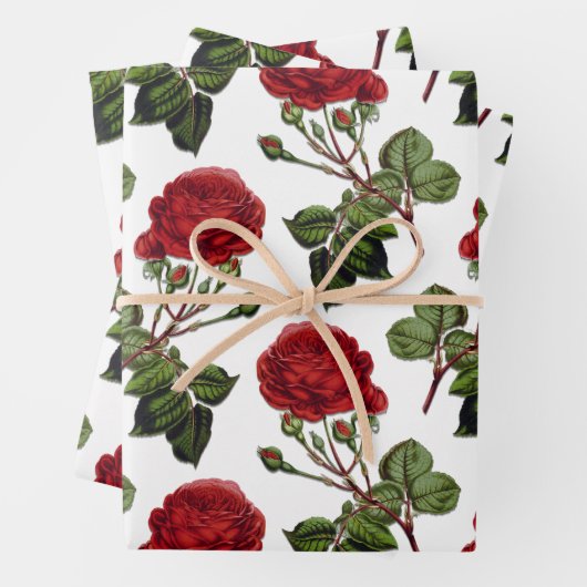 Red Long Steam Rose Muster Geschenkpapier Set (Beispiel)