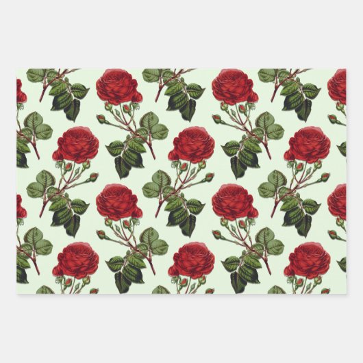 Red Long Stem Rose Muster Minze Green Hintergrund Geschenkpapier Set (Vorderseite)