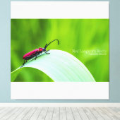 Red Longicorn Beetle and green background Leinwanddruck (Insitu (Holzboden))