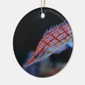 Red Longnose Hawkfish Keramikornament (Links)