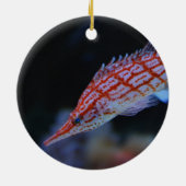 Red Longnose Hawkfish Keramikornament (Hinten)