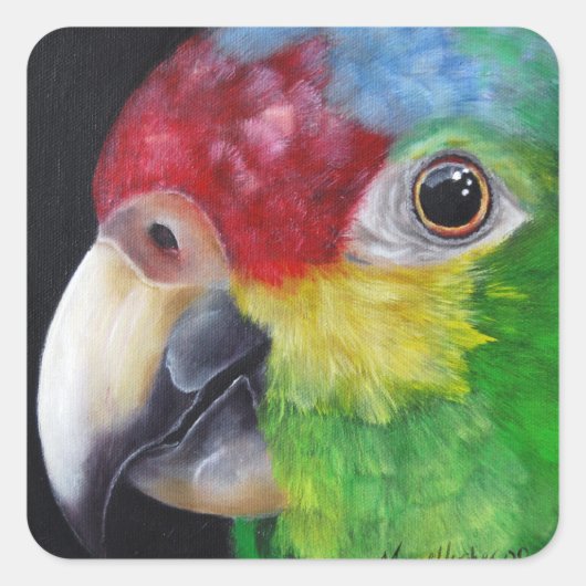 Red Lored Amazon Parrot Sticker (Vorderseite)