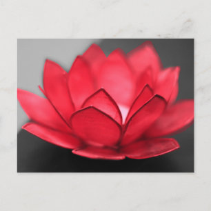 Red Lotus Postkarte