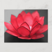 Red Lotus Postkarte (Vorderseite)