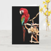 Red Macaw Card für jeden Fall Karte (Gelbe Blume)