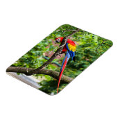 Red Macaw Flexible Magnet (Linke Seite)