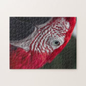 Red Macaw - HD-Foto-Puzzle Puzzle (Horizontal)