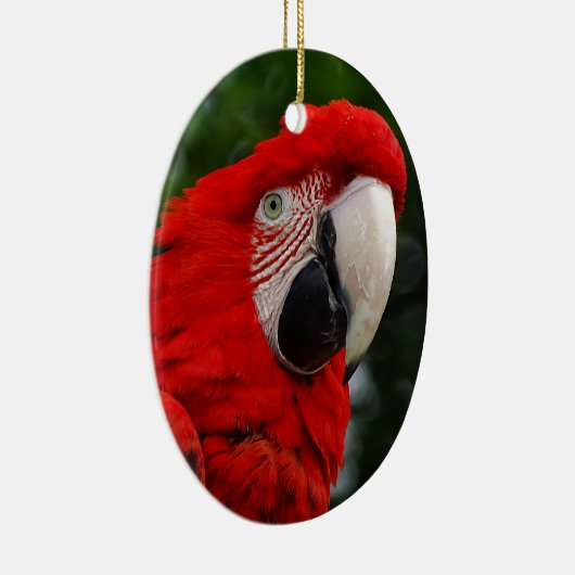 Red Macaw Keramikornament (Rechts)