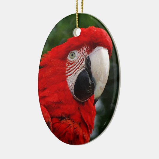 Red Macaw Keramikornament (Links)