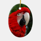 Red Macaw Keramikornament (Vorne)