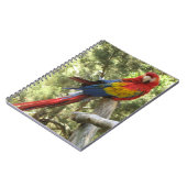 Red Macaw Parrot Bird farbenfroh tropisch Notizblock (Linke Seite)