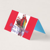 Red Macaw Parrot froh über unser Weihnachtskarten- (Vorderseite)