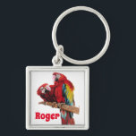 Red Macaw Parrot Parrots Watercolor Art Key Ring Schlüsselanhänger<br><div class="desc">Bright Red Macaw Parrots Watercolor Art Key Ring,  with a fully customizable name. This glorious keyring would make a great gift for anyone. Designed by me from one of my original macaw watercolors. Especially lovely to have such a useful bright and happy gift!</div>