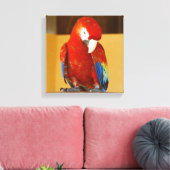 Red Macaw Tropical Parrot in Mexiko Leinwanddruck (Insitu (Wohnzimmer))