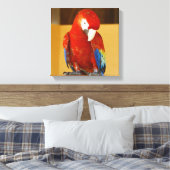 Red Macaw Tropical Parrot in Mexiko Leinwanddruck (Insitu (Schlafzimmer))