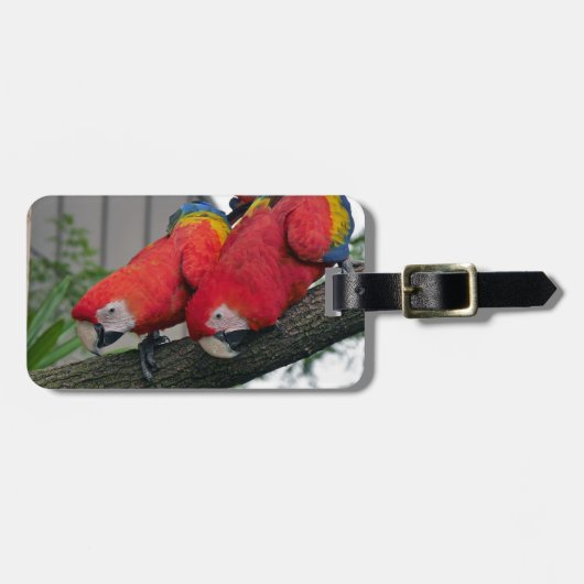Red Macaws 2.JPG Gepäckanhänger (Vorderseite horizontal)
