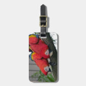 Red Macaws 2.JPG Gepäckanhänger (Vorderseite vertikal)