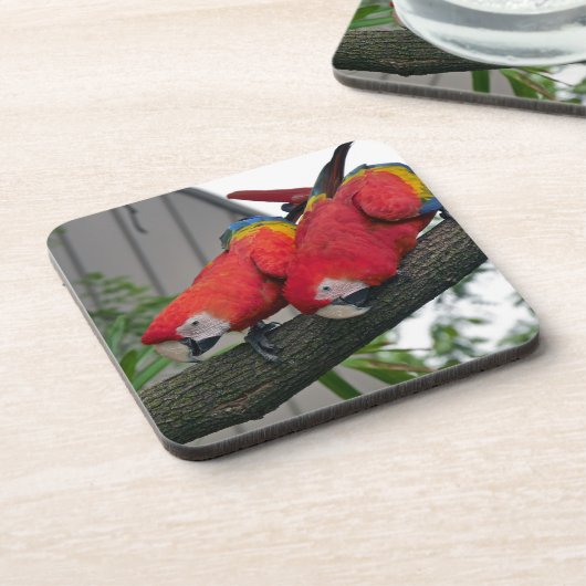 Red Macaws 2.JPG Getränkeuntersetzer (Linke Seite)