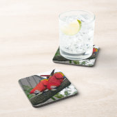 Red Macaws 2.JPG Getränkeuntersetzer (Rechte Seite)