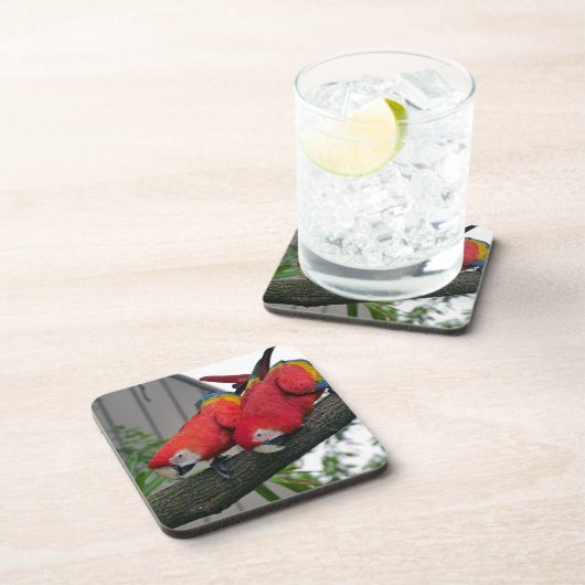 Red Macaws 2.JPG Getränkeuntersetzer (Rechte Seite)