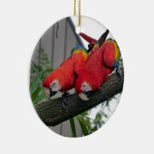 Red Macaws 2.JPG Keramik Ornament (Rechts)