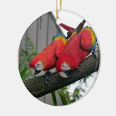 Red Macaws 2.JPG Keramik Ornament (Links)