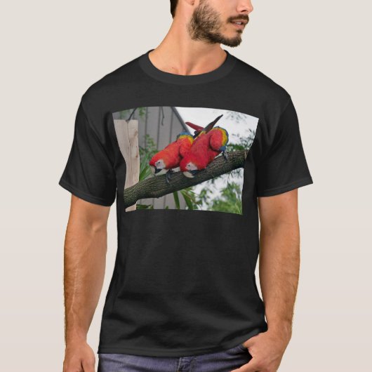 Red Macaws 2.JPG T-Shirt (Vorderseite)