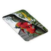 Red Macaws Magnet (Rechte Seite)