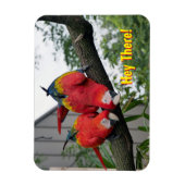 Red Macaws Magnet (Vertikal)