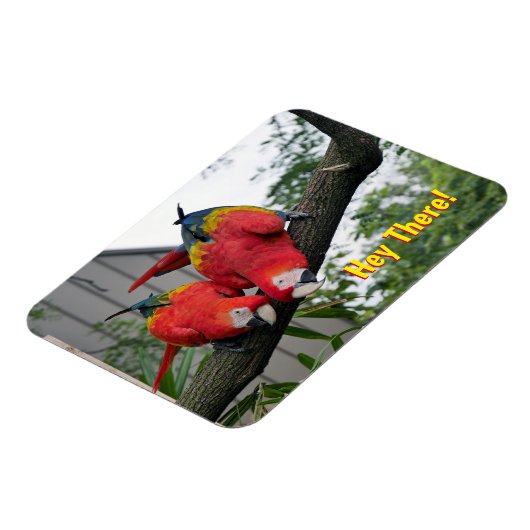 Red Macaws Magnet (Linke Seite)