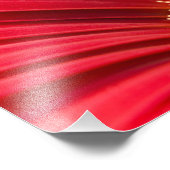 Red Macro Gerbera Daisy Blume Fotodruck (Ecke)