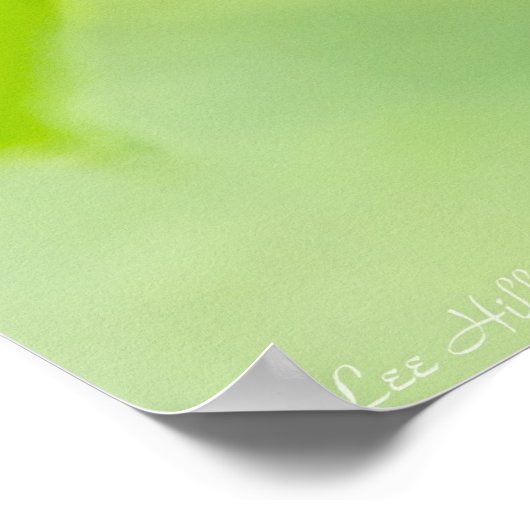 Red Male Summer Tanager in Forest Poster (Ecke)