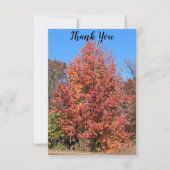 Red Maple Danke-Card Dankeskarte (Vorderseite)