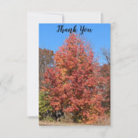 Red Maple Danke-Card