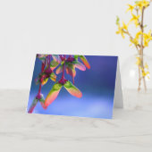 Red Maple Helicopters Blank Note Card Karte (Gelbe Blume)