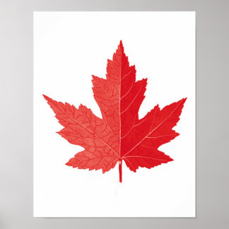 Red Maple leaf Canada Day art print No.11 Poster