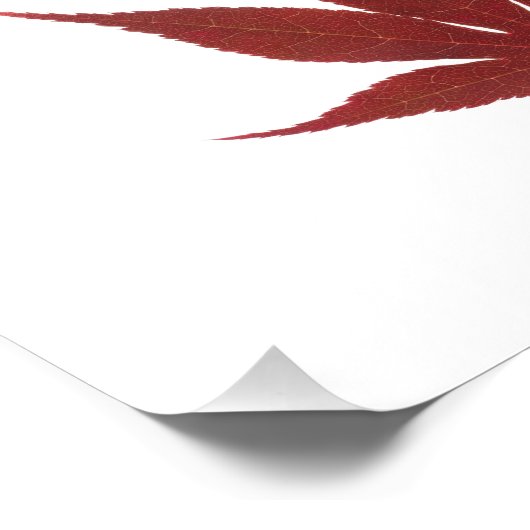 Red Maple Leaf Fotodruck (Ecke)