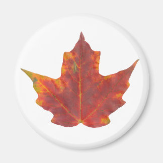 Red Maple Leaf Magnet