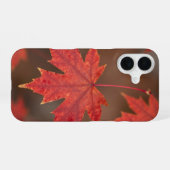 Red Maple Leaves Fall Phone Case iPhone 16 Hülle (Rückseite (Horizontal))