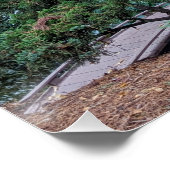 Red Maple Leaves in a Japanese Garden Poster (Ecke)