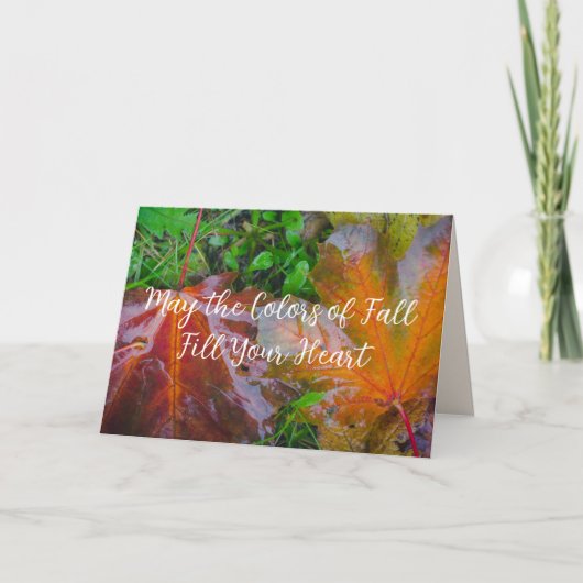 Red maple leaves karte (Vorderseite)