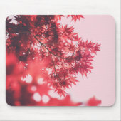 Red Maple Leaves on Pink Mousepad (Vorne)
